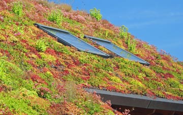 Froncysyllte living roof systems